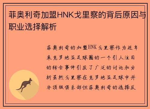 菲奥利奇加盟HNK戈里察的背后原因与职业选择解析