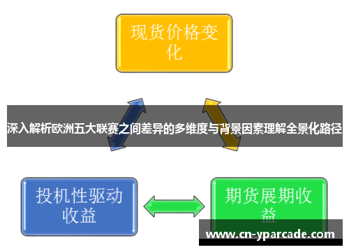 深入解析欧洲五大联赛之间差异的多维度与背景因素理解全景化路径