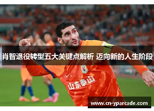 肖智退役转型五大关键点解析 迈向新的人生阶段 肖智退役转型五大关键点解析 迈向新的人生阶段