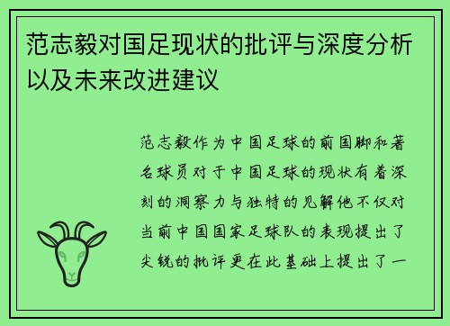 范志毅对国足现状的批评与深度分析以及未来改进建议