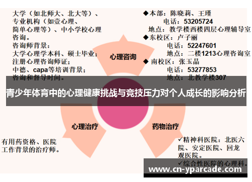青少年体育中的心理健康挑战与竞技压力对个人成长的影响分析